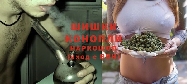 прущие грибы Верея