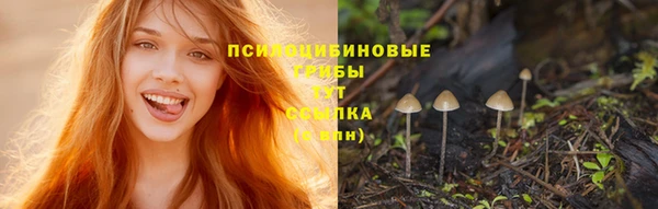 прущие грибы Володарск