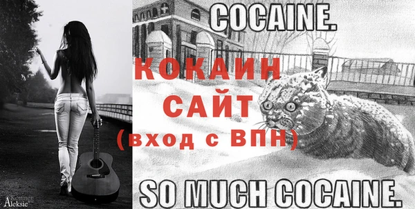 прущие грибы Верея